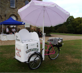 wedding ice cream bike