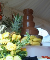 chocolate fountain real wedding