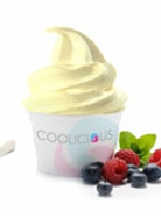 frozen yogurt catering